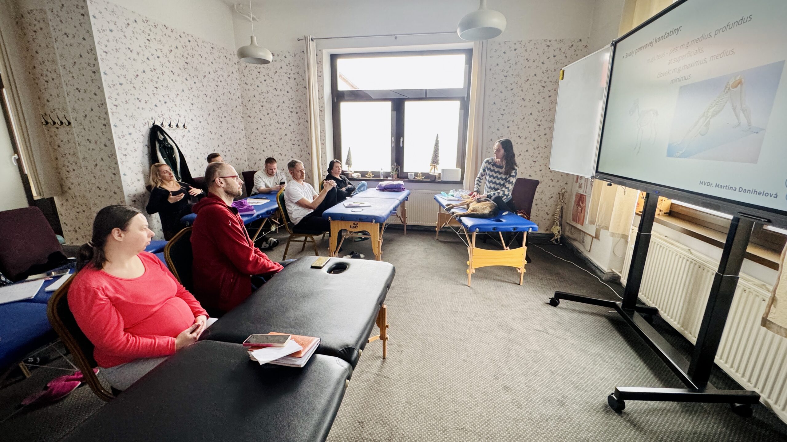 Fyzioterapia zvierat v Zamase 4